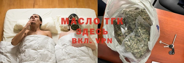 сатива Вяземский