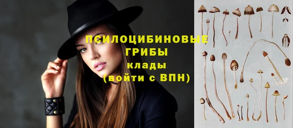 сатива Вяземский