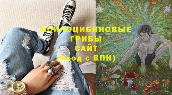сатива Вяземский