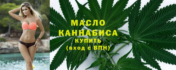 сатива Вяземский