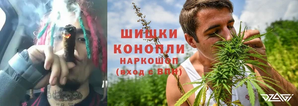 сатива Вяземский