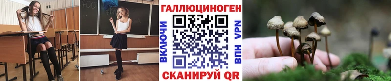как найти   Зуевка  OMG как войти  Галлюциногенные грибы Cubensis 